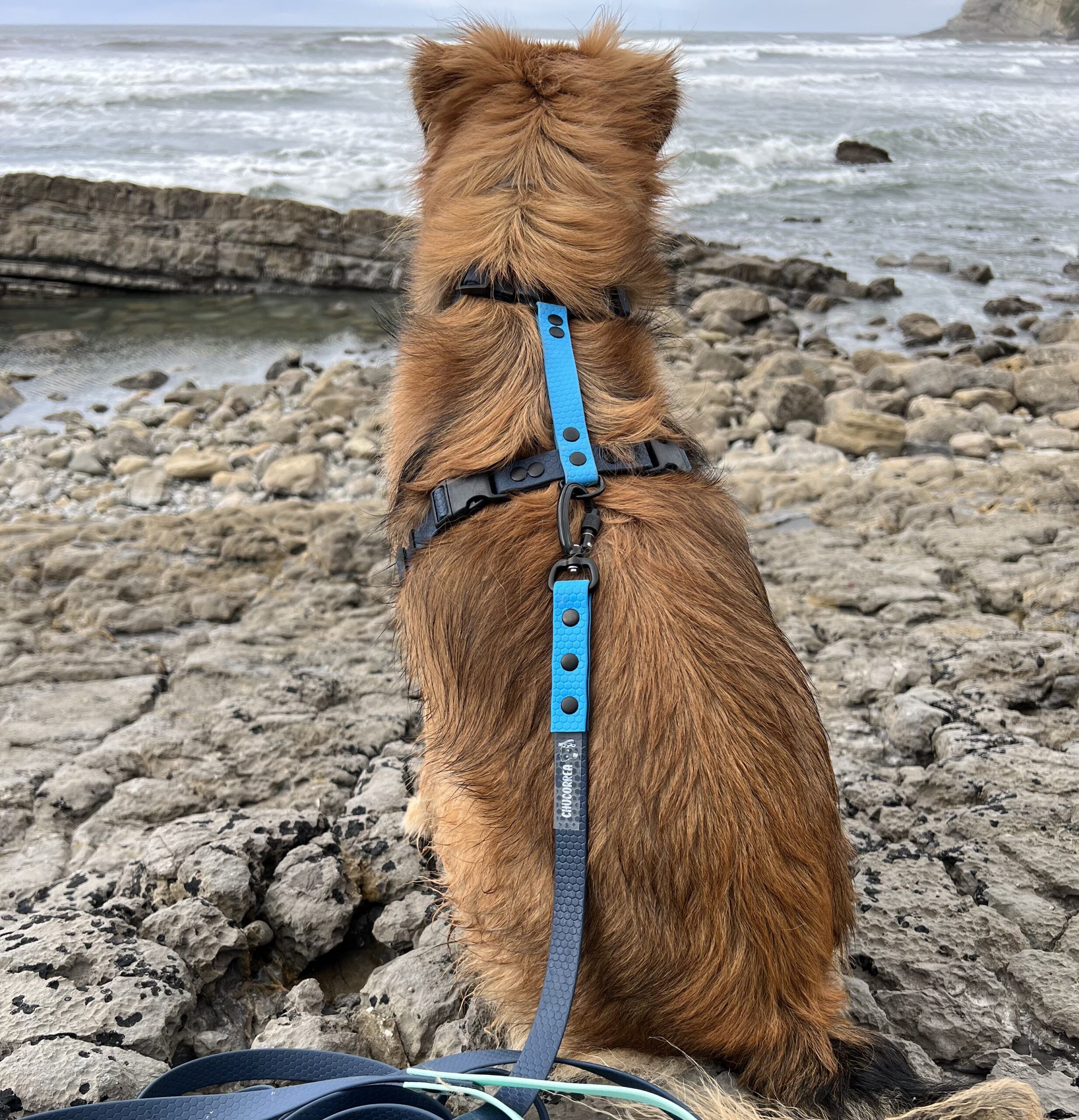 Arnés de PVC - Imagen 4